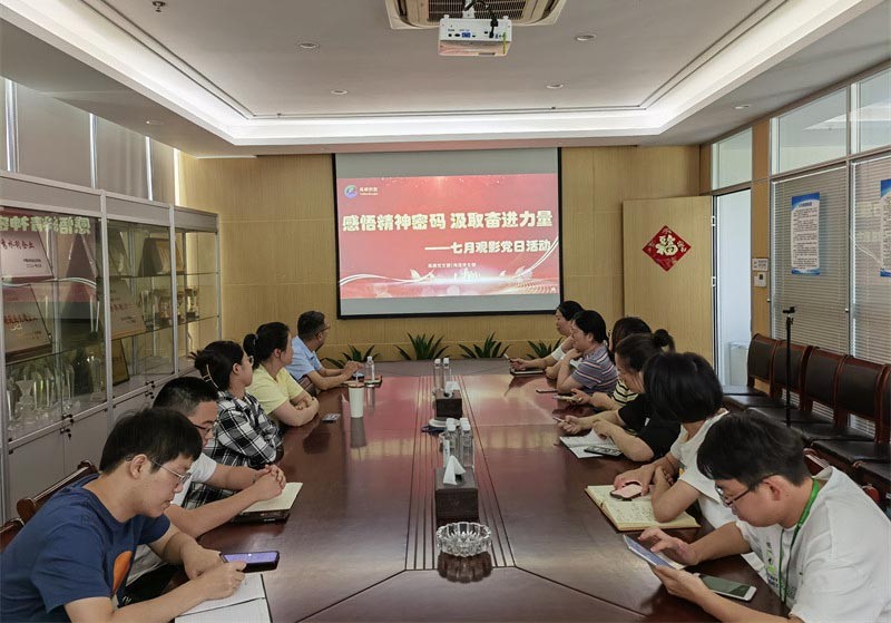 感悟精神密码，汲取奋进力量——支部开展主题观影活动